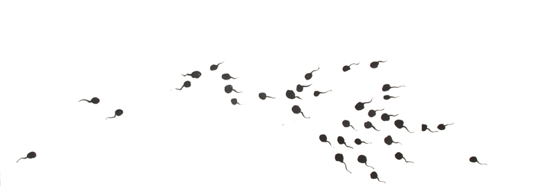 周沫 學畫2年 8歲